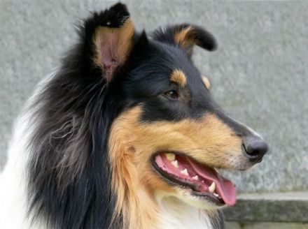 Flash von Camperville