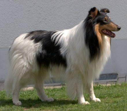 Flash von Camperville