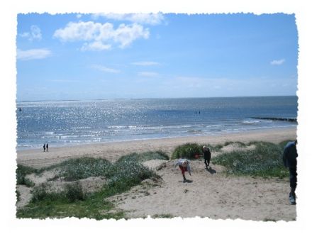 Stellechalets Zeeland