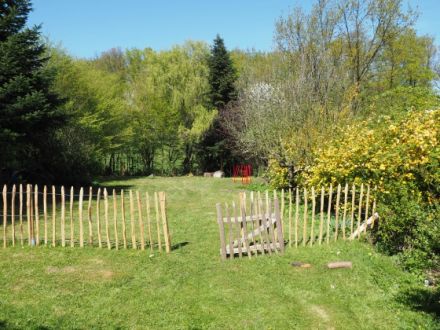 Hundeschule/Welpenschule Hunderosa