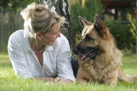 Dogschool Berlin Brandenburg