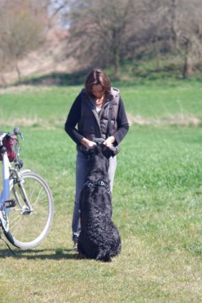 Naturheilpraxis für Tiere Annette Klietsch