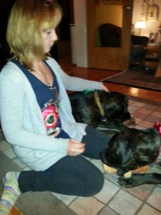 Naturheilpraxis für Tiere Annette Klietsch