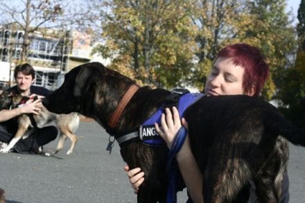 Sanny's Hundeservice - Hundeschule in Nürnberg