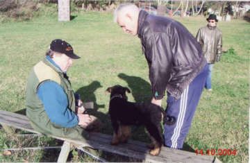 hundeschule klischat