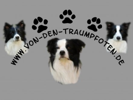 von den Traumpfoten
