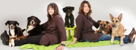 professionelle Hundeschule Ulrike Müller