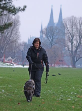 K-9 Suchhundezentrum Rheinland