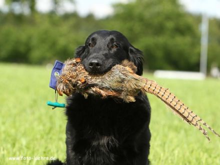 Dymen, Nigel, Indi, Bob