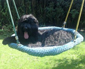 Los pequeños Banditos