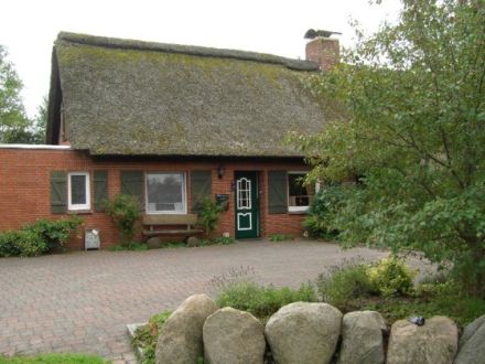 Ferienhaus Vier Pfoten Fehmarn Gollendorf