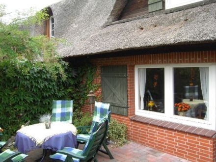 Ferienhaus Vier Pfoten Fehmarn Gollendorf