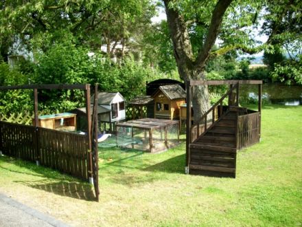 Pfötchen - Residenz