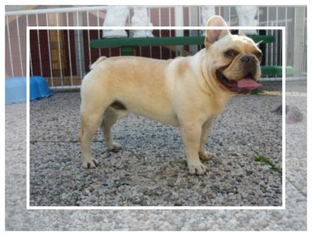 'Sirius from Iron County'