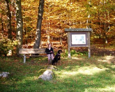 Fewo am Westerwald Steig