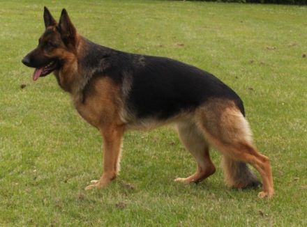 vom Tecklenburger Land