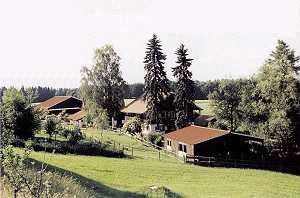 Lucky-Stable-Ranch - Reiterhof