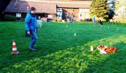 Hundeschule TeamWork