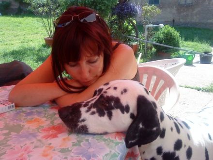 Tierheilkunde und Tierpsychologie für Heimtiere Cornelia Köhler