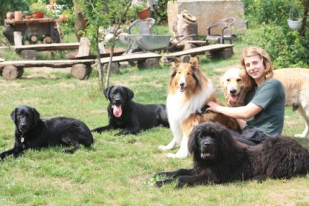 Hundeservice Just for Fun