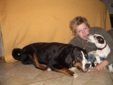 Hundepension Just for Fun