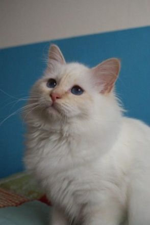 von der Rosenterrasse