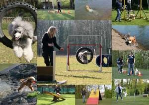 DPK Bezirksgruppe Lünen-Unna in 44536 Lünen-Brambauer