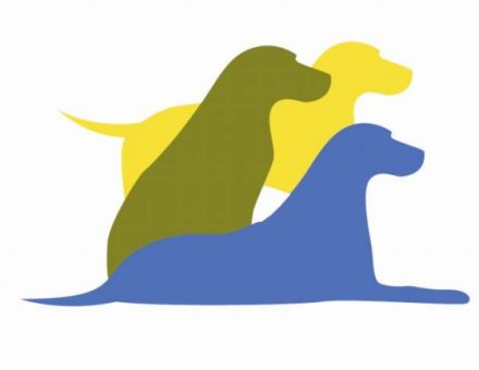 Die Hunde - Mensch Brücke