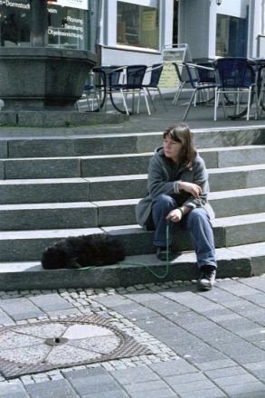 Die Hunde - Mensch Brücke