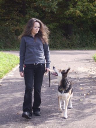 Hundeschule & Verhaltensberatung Nadin Riderer