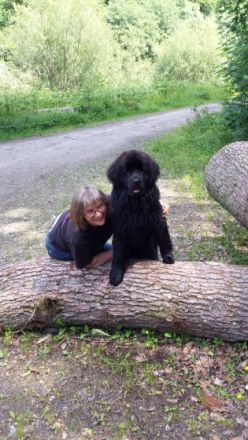 Hundschule DOGS COLLEGE Renate Geduhn