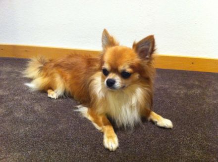 del Arco Iris del amor