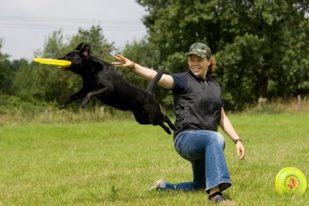 paws2jump - Discdogging Seminare