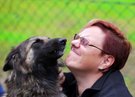 Tervueren von Danuwa