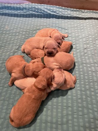 Tales Of Mystery im A.C.H. Deutschland e.V.