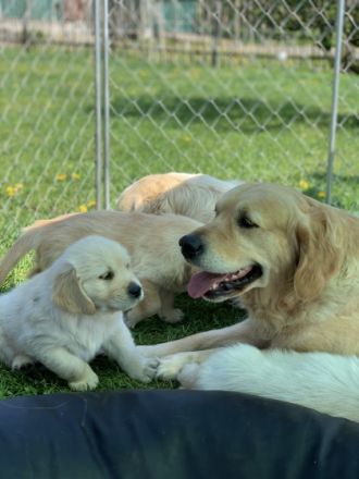 Tales Of Mystery im A.C.H. Deutschland e.V.