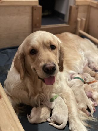 Tales Of Mystery im A.C.H. Deutschland e.V.