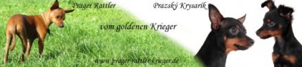 vom goldenen Krieger