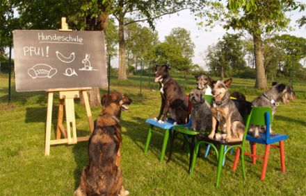 Hundeschule Heck