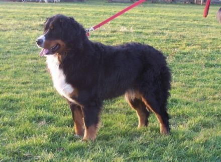 vom Sandmännchenhof