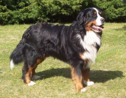 vom Sandmännchenhof