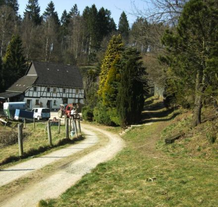 Hundepension Hof Groß-Langenbach
