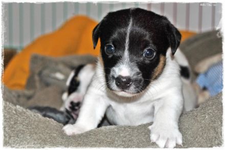 aus der Grindauer Marsch