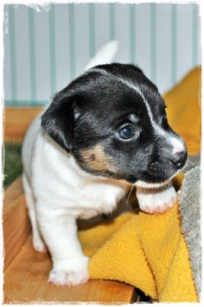 aus der Grindauer Marsch