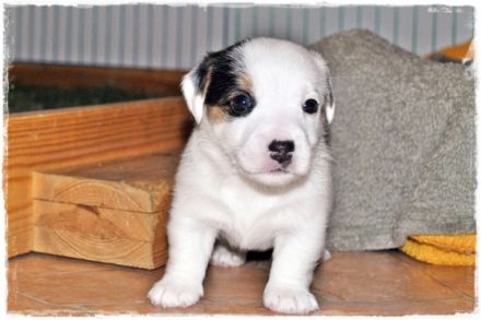 aus der Grindauer Marsch