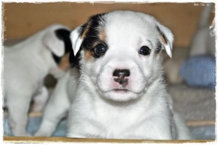 aus der Grindauer Marsch