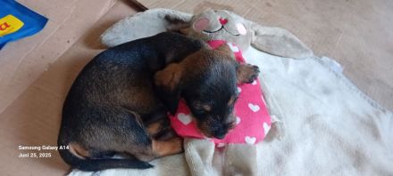 vom Schwindauer-Land