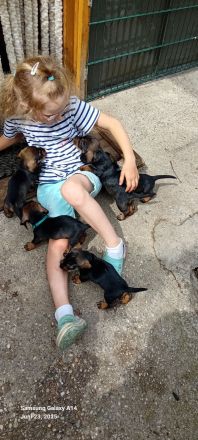 vom Schwindauer-Land