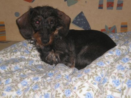 vom Schwindauer-Land