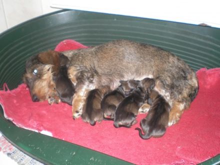 vom Schwindauer-Land